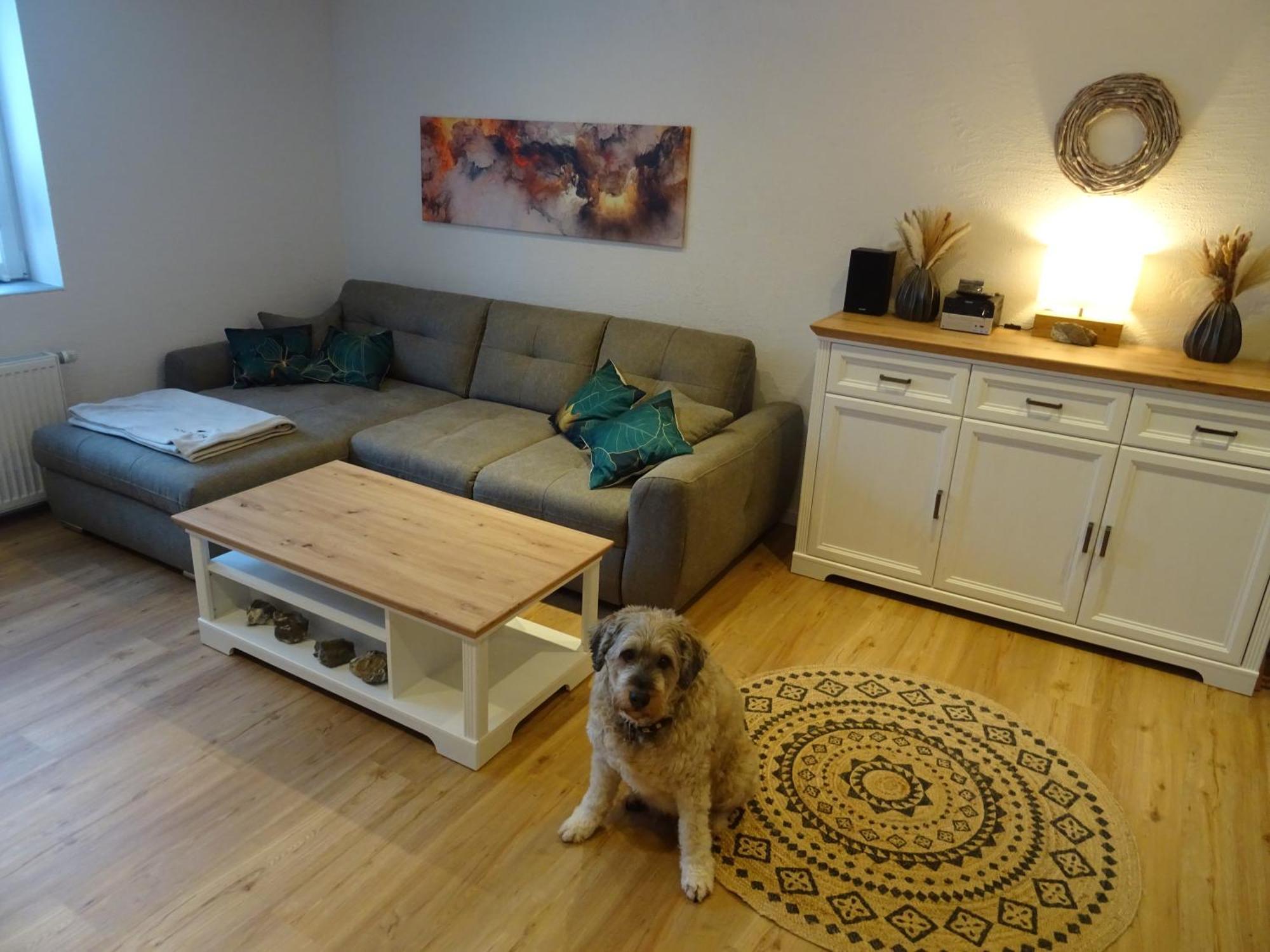 Sammy'S Fewo Goslar Zewnętrze zdjęcie